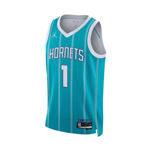 Charlotte Hornets Swingman Icon