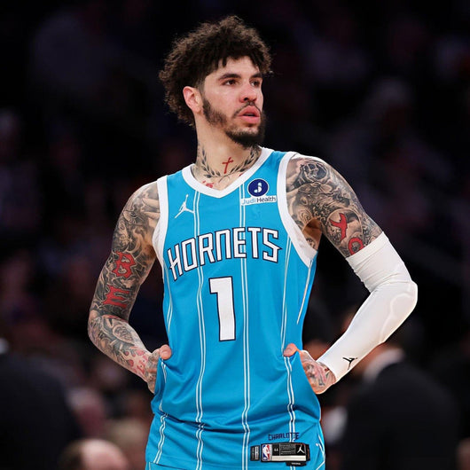 Charlotte Hornets Swingman Icon